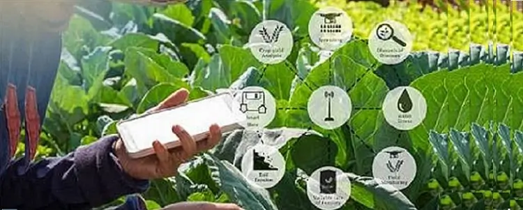 ict applications in agriculture