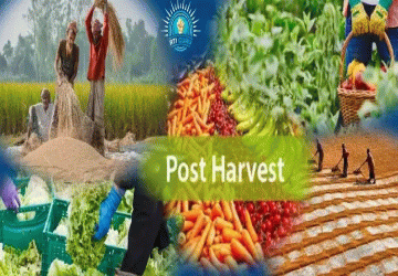 Post Harvest Technologies